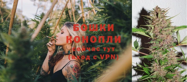 ешки Медногорск