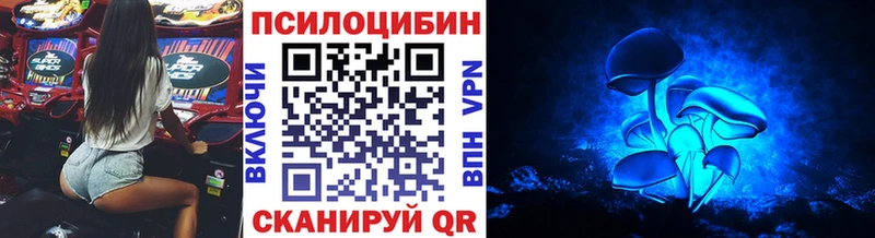 Галлюциногенные грибы Psilocybine cubensis Урус-Мартан